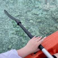 фото из отзыва ID 2380753