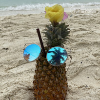 фото из отзыва ID 2380753