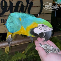 фото из отзыва ID 2380753