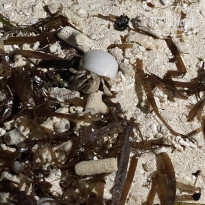 фото из отзыва ID 2380753