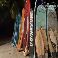 фото из отзыва ID 2380753