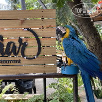 фото из отзыва ID 2380753