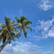 фото из отзыва ID 2380753