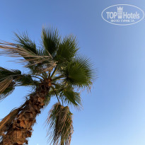 фото из отзыва ID 2380830