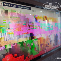 фото из отзыва ID 2380861