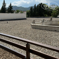 фото из отзыва ID 2380980