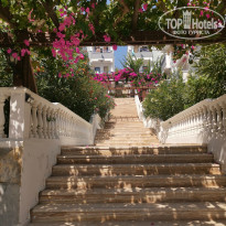 фото из отзыва ID 2381042