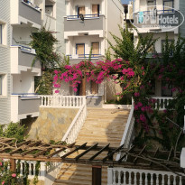 фото из отзыва ID 2381042