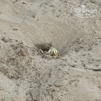 фото из отзыва ID 2381439