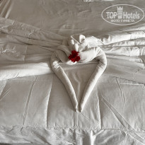 фото из отзыва ID 2381449