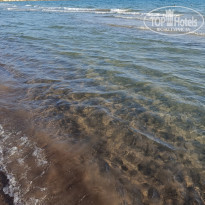 фото из отзыва ID 2381462