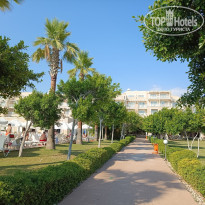 фото из отзыва ID 2381462