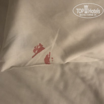 фото из отзыва ID 2381534