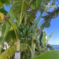 фото из отзыва ID 2381538