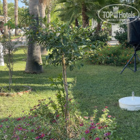 фото из отзыва ID 2381622