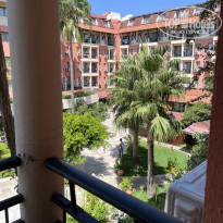 фото из отзыва ID 2381676