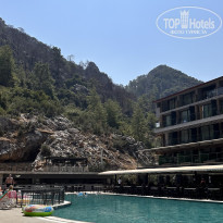 фото из отзыва ID 2381754