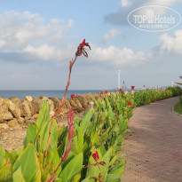 фото из отзыва ID 2381775