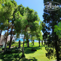 фото из отзыва ID 2381780