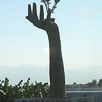 фото из отзыва ID 2381783