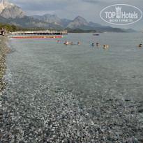 фото из отзыва ID 2381786