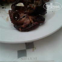 фото из отзыва ID 2381332