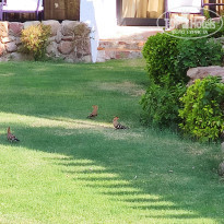 фото из отзыва ID 2382110