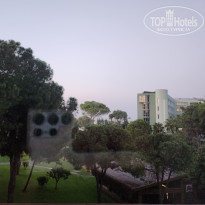 фото из отзыва ID 2381915