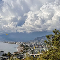 фото из отзыва ID 2382169