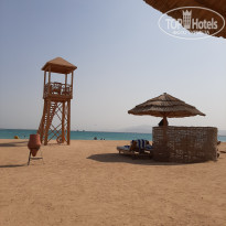 фото из отзыва ID 2382176