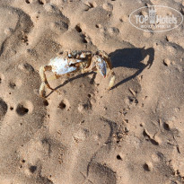 фото из отзыва ID 2382176