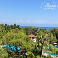 фото из отзыва ID 2382234