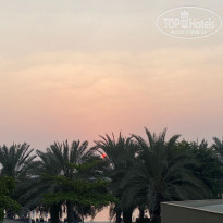 фото из отзыва ID 2382298