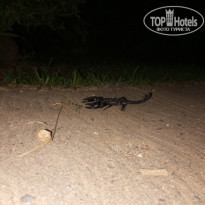 фото из отзыва ID 2382357