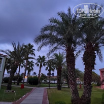 фото из отзыва ID 2382313