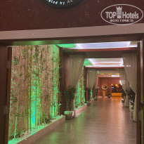 фото из отзыва ID 2382528