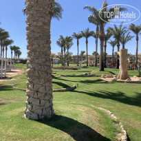 фото из отзыва ID 2382550