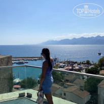 фото из отзыва ID 2382789