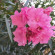 фото из отзыва ID 2382812