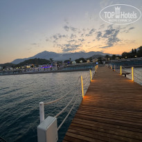 фото из отзыва ID 2382868