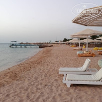 фото из отзыва ID 2381748