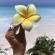 фото из отзыва ID 2383104