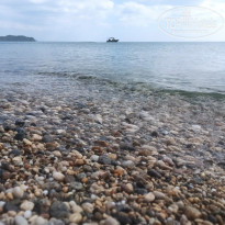 фото из отзыва ID 2383123