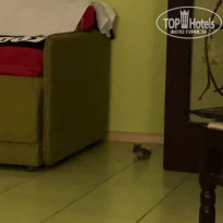 фото из отзыва ID 2383150