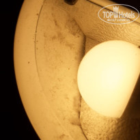 фото из отзыва ID 2383126