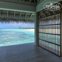 фото из отзыва ID 2383190