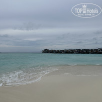 фото из отзыва ID 2383190