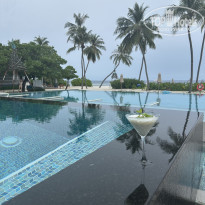 фото из отзыва ID 2383190