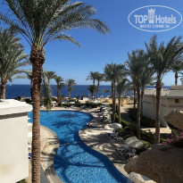 фото из отзыва ID 2383239