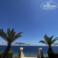 фото из отзыва ID 2383239